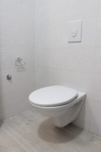 white flush toilet